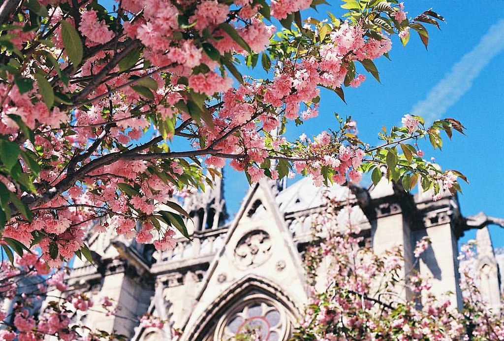 72d6f68e-f036-4c87-b30b-855fc54eeb61