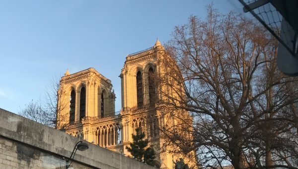 7377d182-883c-4afe-bfc4-19d9e6cd8764