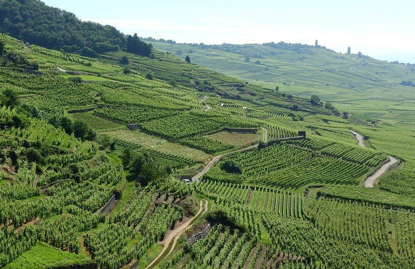 749a6ccd-6fdb-4c75-98b6-006491133d29