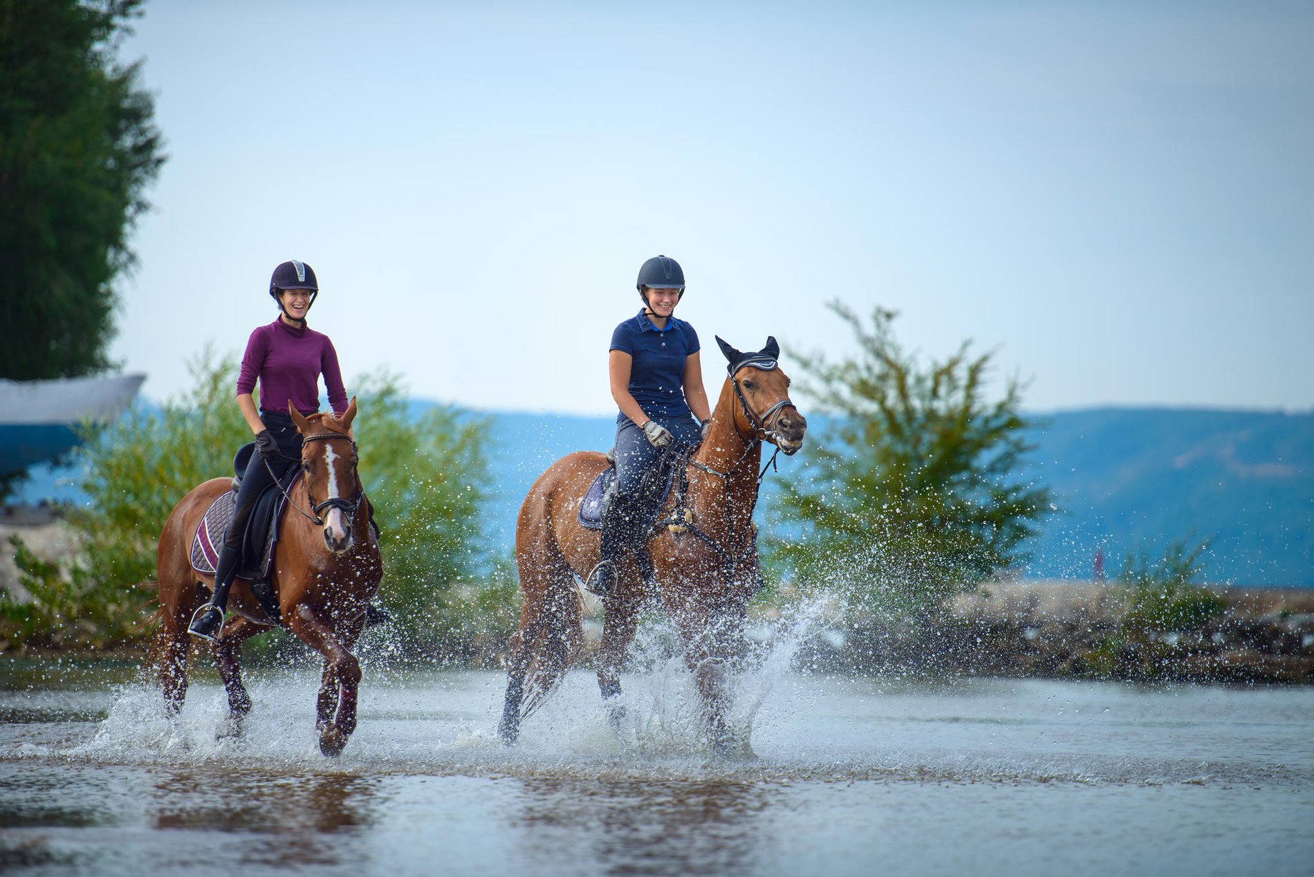 7804d64a-b236-4a08-bf8b-9443a6e4a1ed