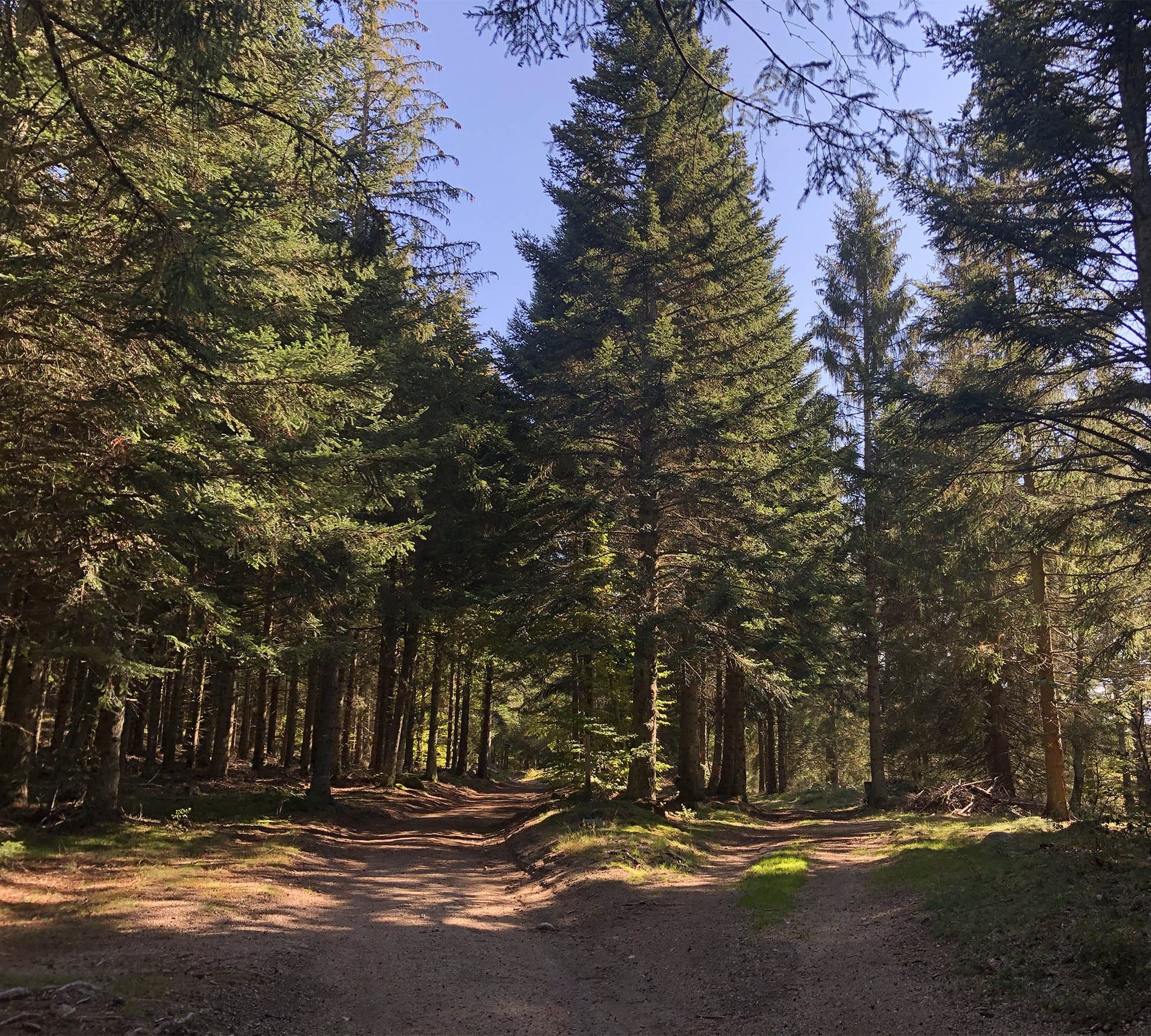 786bd91c-8f5c-4419-9838-f8008beda2b2