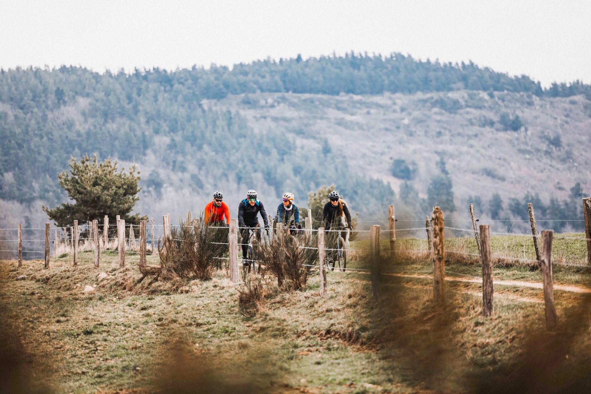 7bf8aba5-e78e-4cba-8749-b8b885bbf264