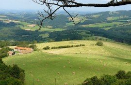 7f15c2e1-ac61-497d-a2df-0fc4eb076eac