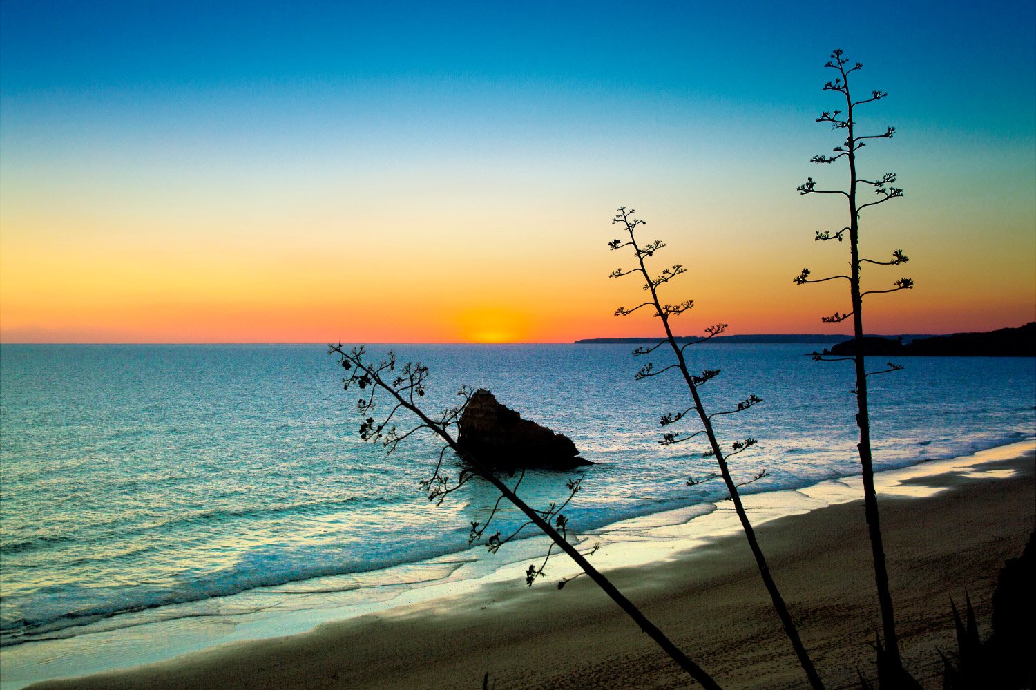 8533ab7f-fe03-47e7-8b17-0bd3b4e1db2c