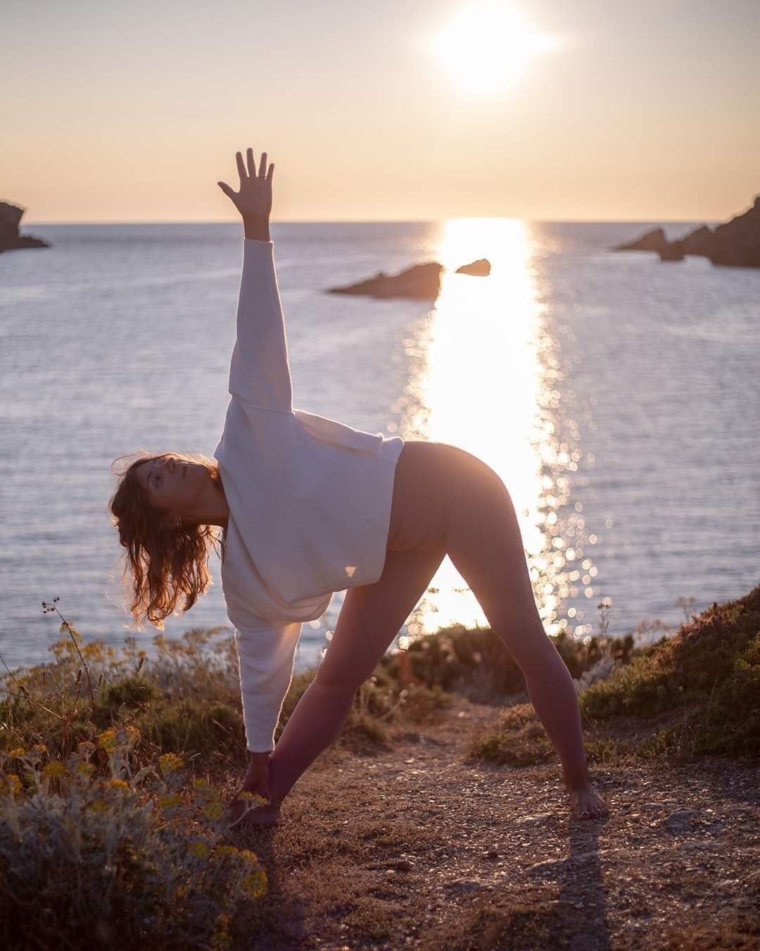 Le Cardinal | Yoga