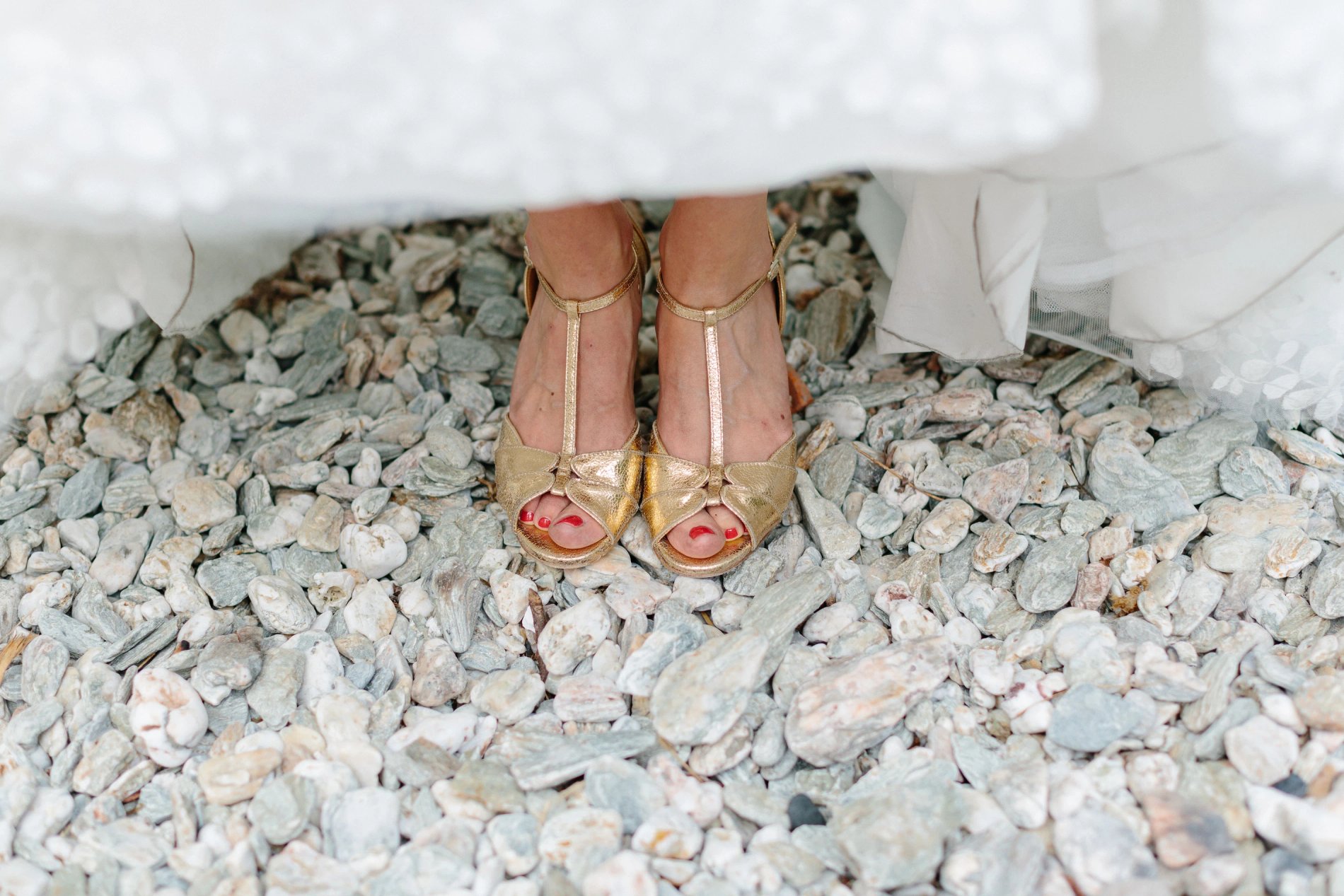 865f5b6a-b2df-4ca6-aaf6-eba6868fbb0b