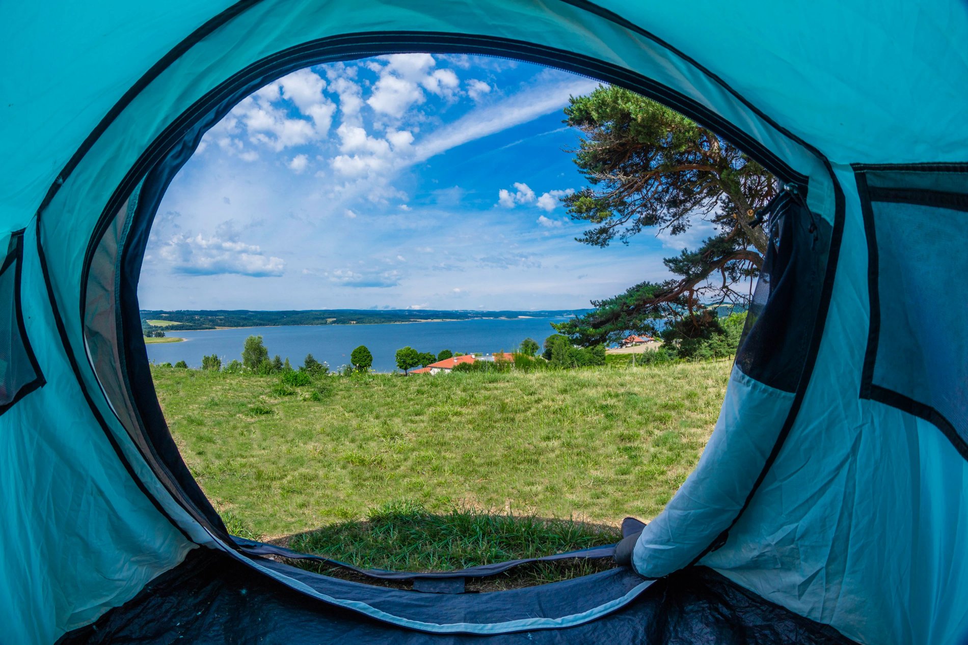 870f3f16-1c92-452c-8ec4-1235ff8e0c78