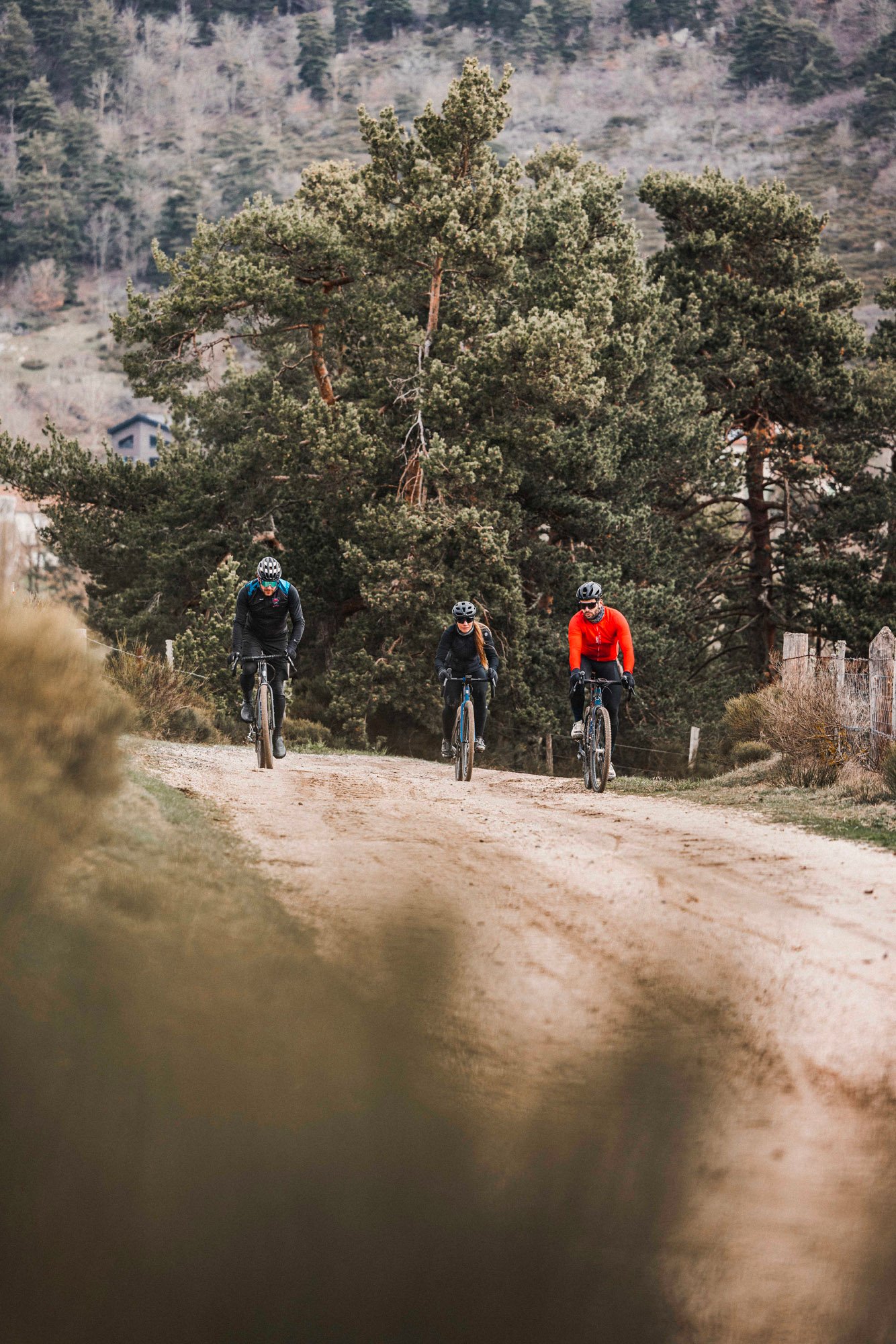 8892fe0e-d0d5-477a-80fe-2d7af9b993f4