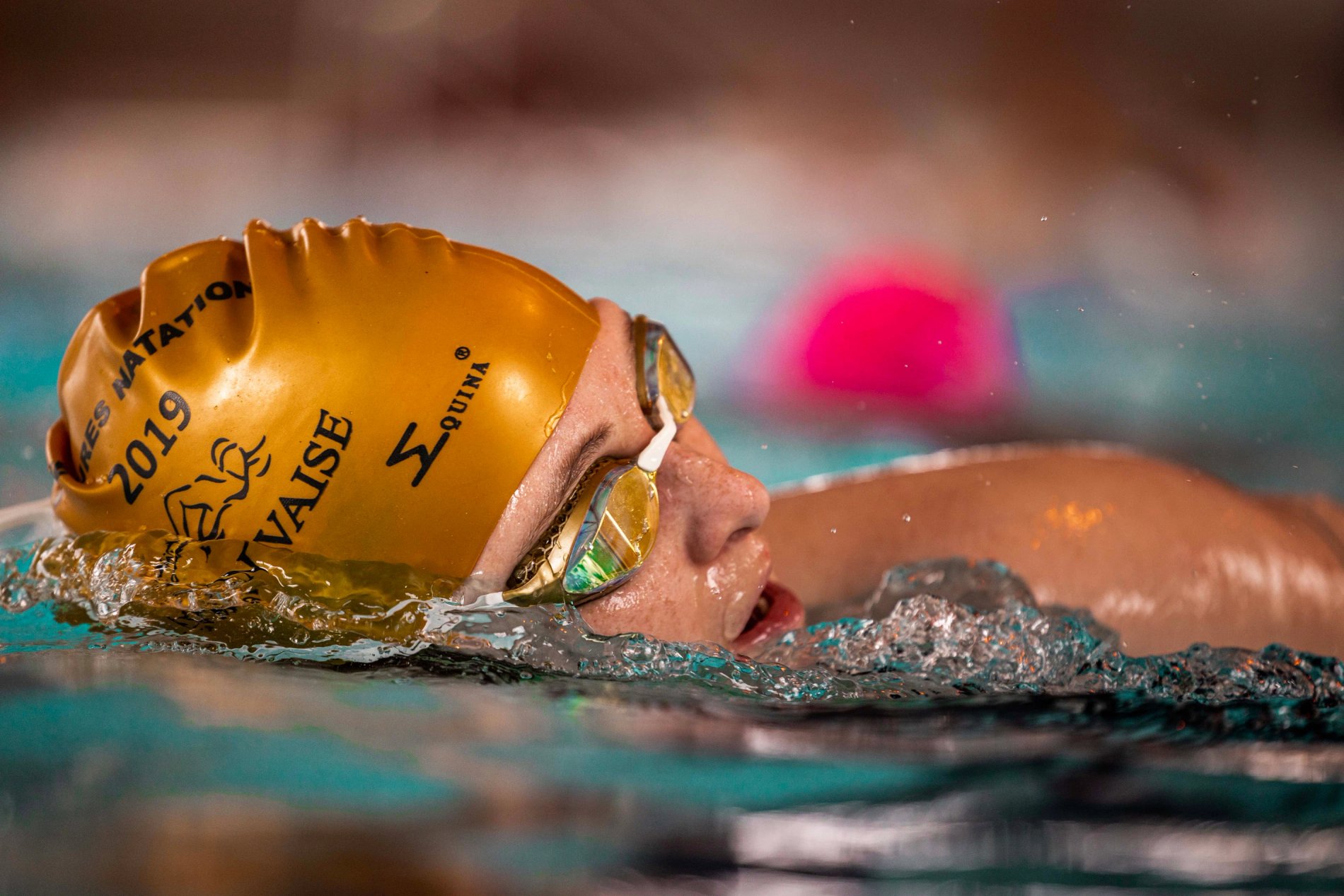 8c185308-e3ec-42cb-9db0-1468663e1fd4