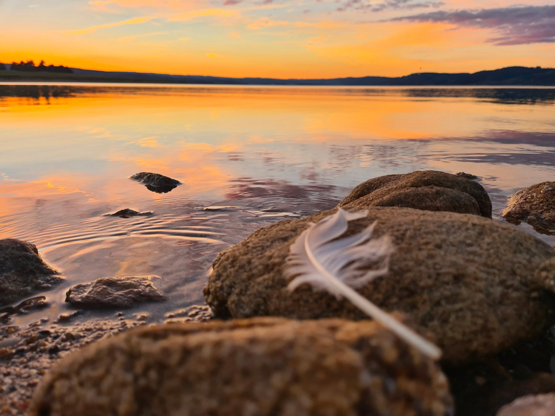 8c3a9a73-d5bc-4437-95ef-e478e194ab2c