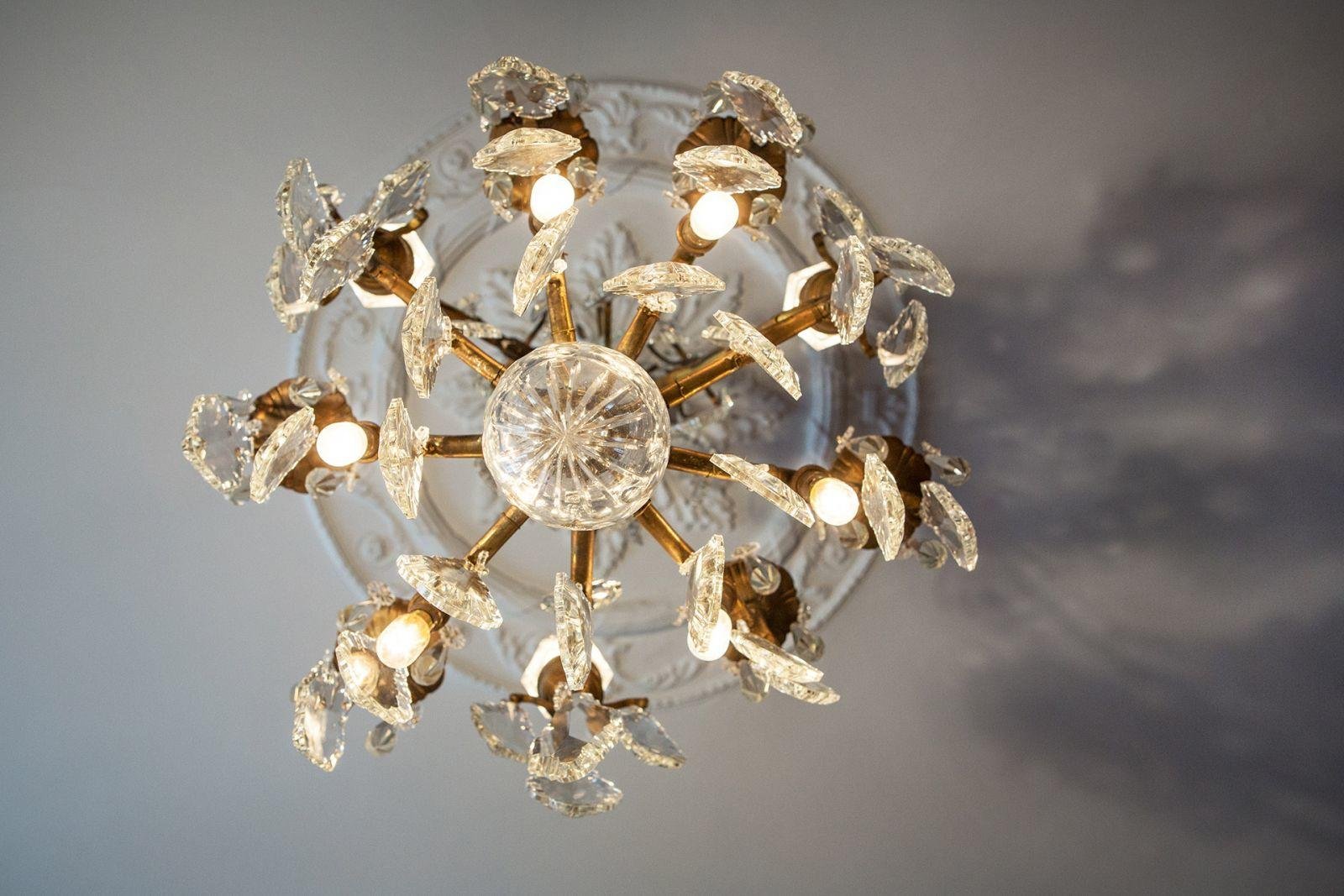 8cc8b450-5099-462a-82b1-bf440a31e307