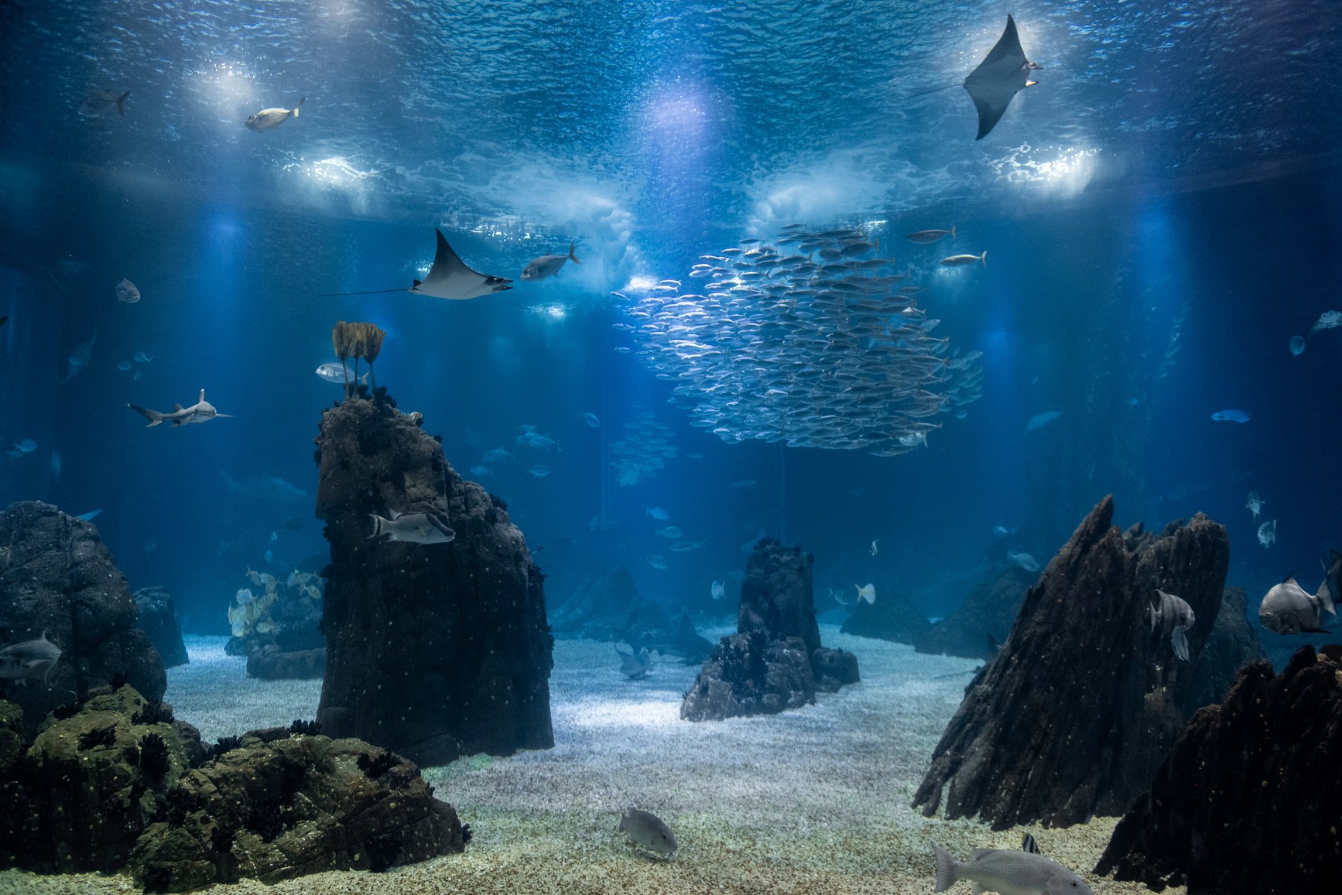 8d475609-6b9a-4ed6-836a-4bab01f0ef9d