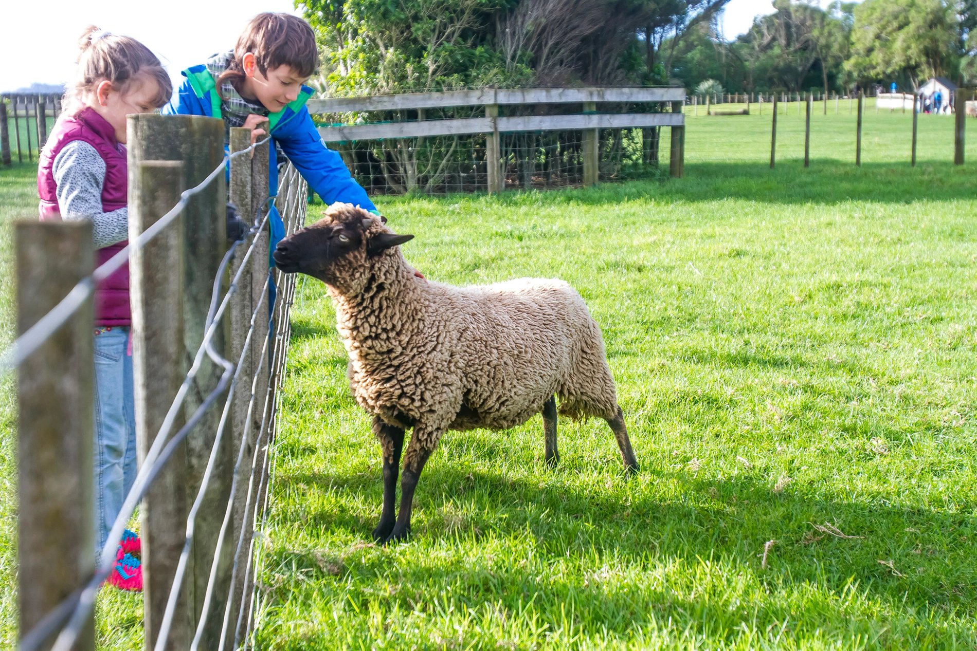 8e4b47c1-b5a9-42ba-ae0d-393b8e1f1318