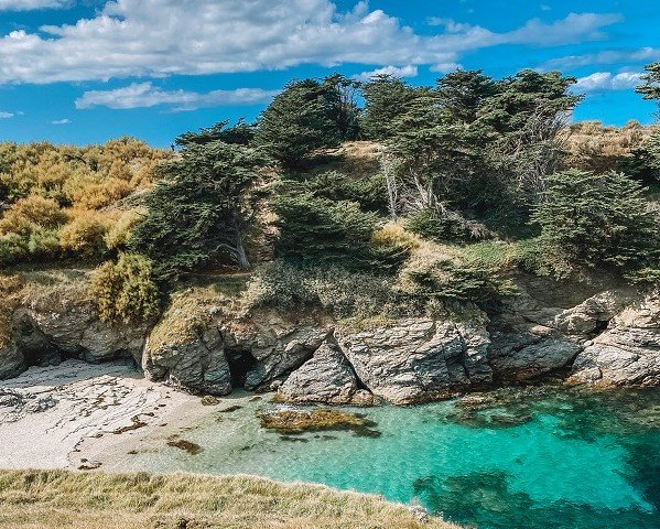 8f679d9f-fb8d-4c5f-9c6e-6959b0191d0f