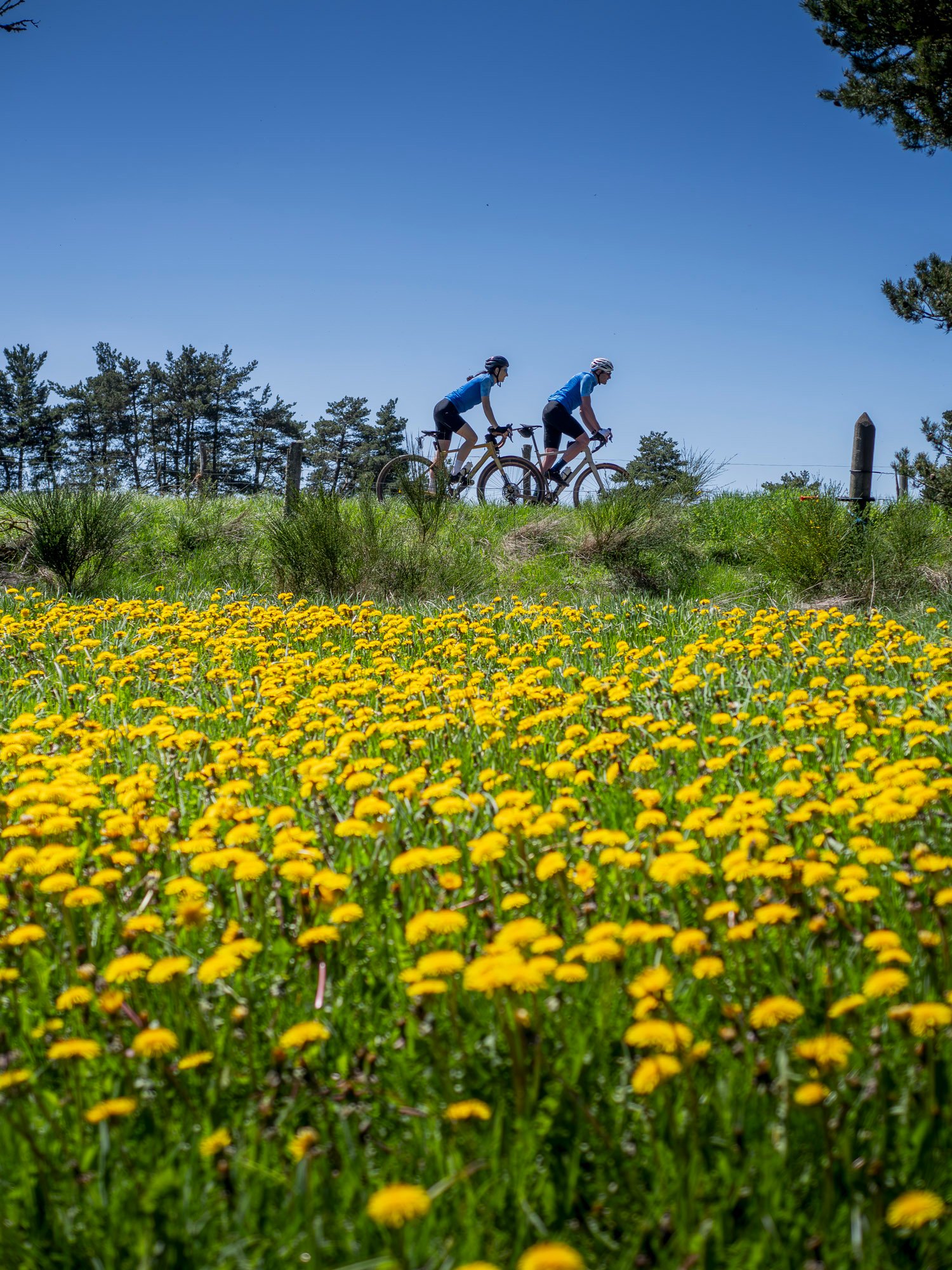 8fea037f-ab6a-4a9e-a203-3a55a4b5cfe2