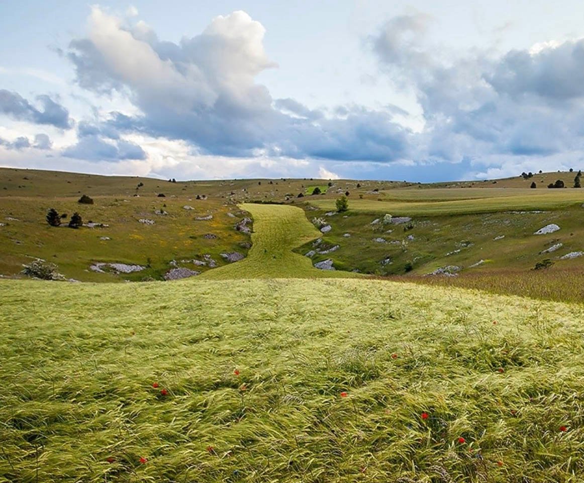 9c96de76-93a4-43a3-8d88-90ea2cfea7e2