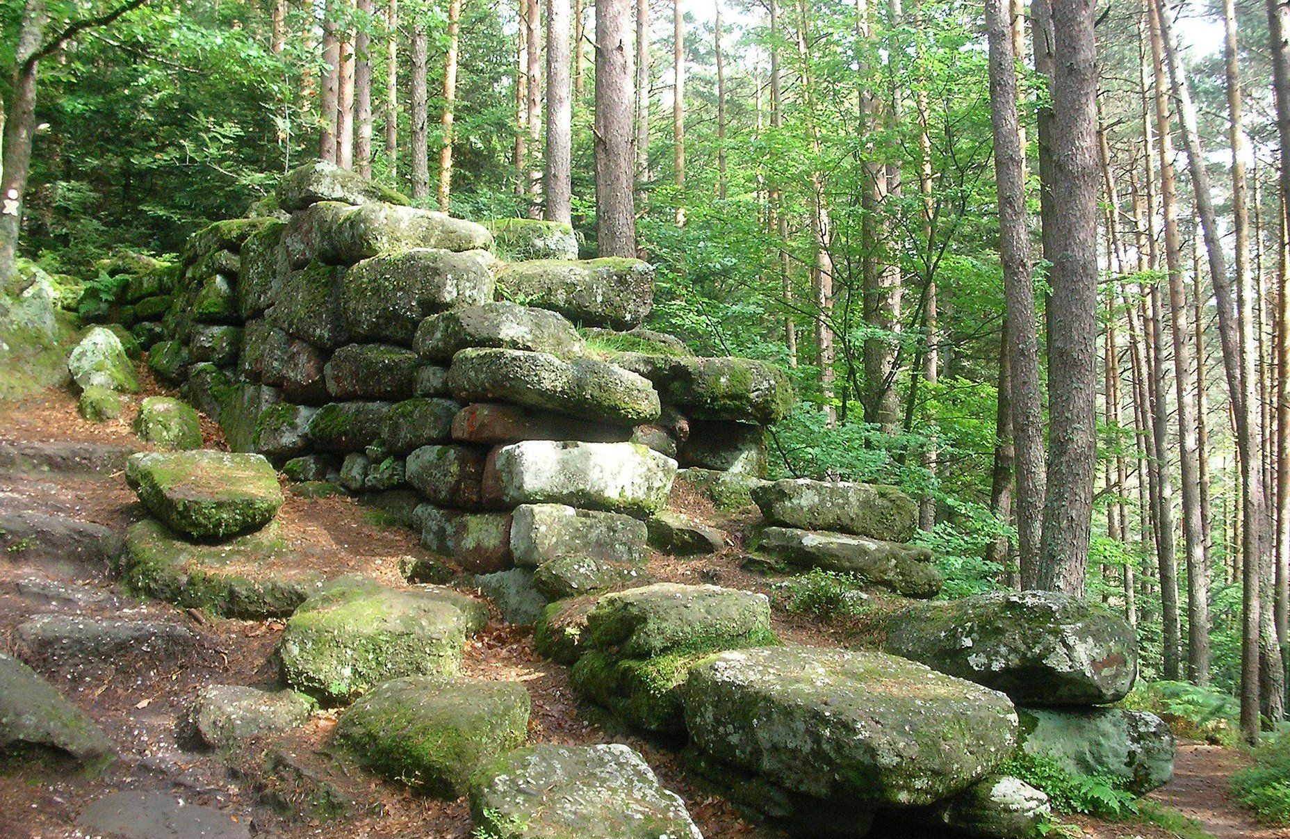 9e92bfd5-abb5-4cf4-9ec3-7eec5c986eb8