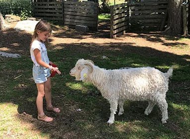 9ec75cd8-4785-4dba-94f6-c0917a755682