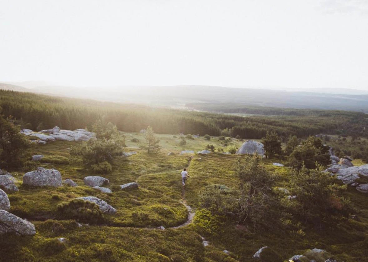 9f7e9dbd-9936-4e82-a051-010f2c8a6aa5