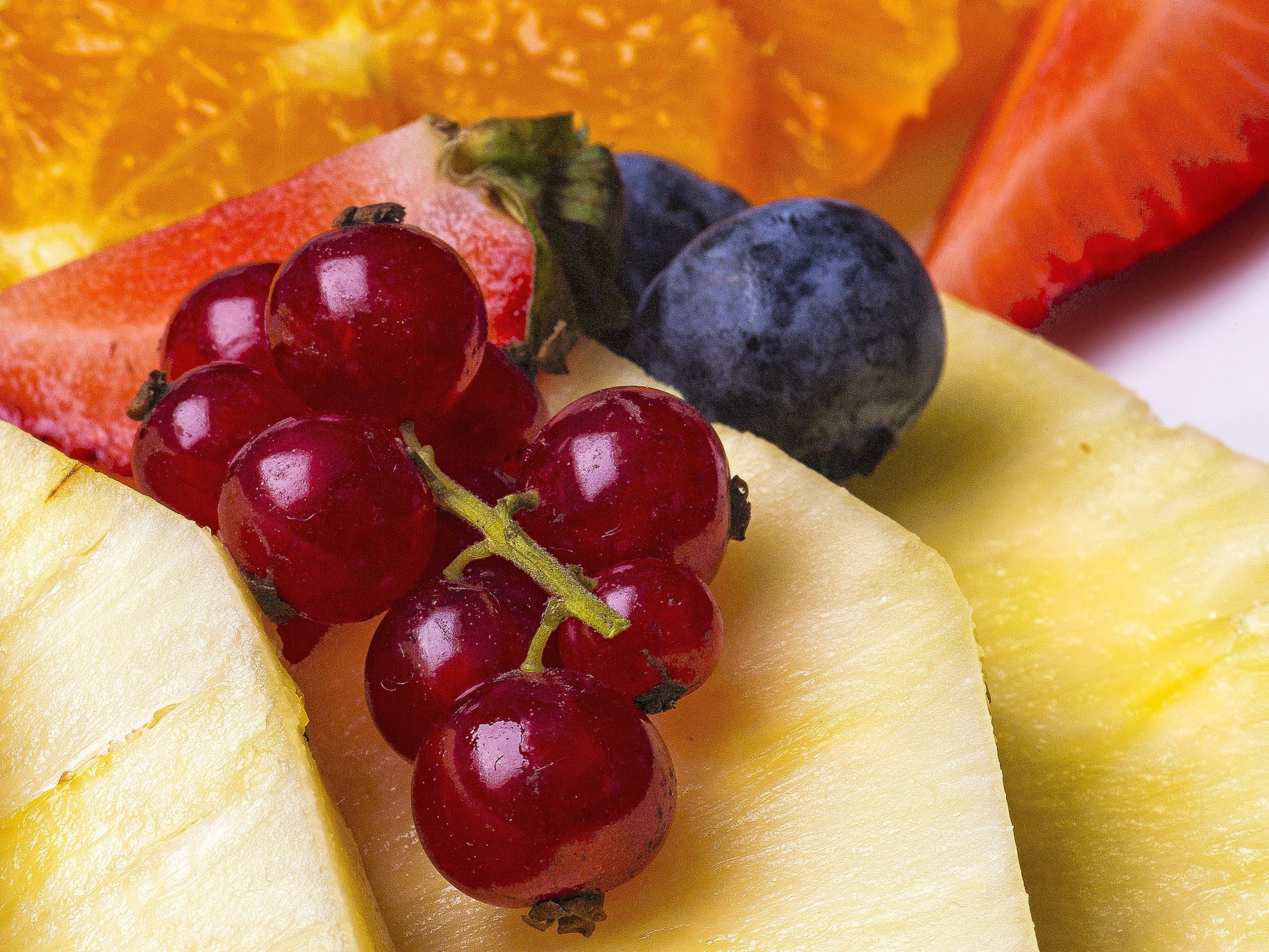 9fab2f51-c2fb-47ba-b66f-644ced61f791