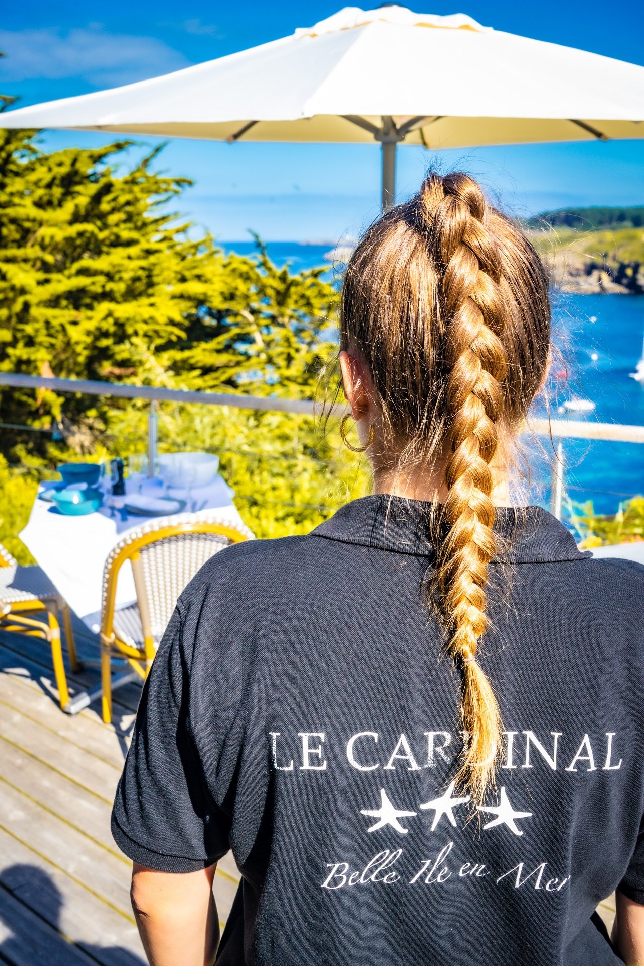 Le Cardinal | Team Cardinal