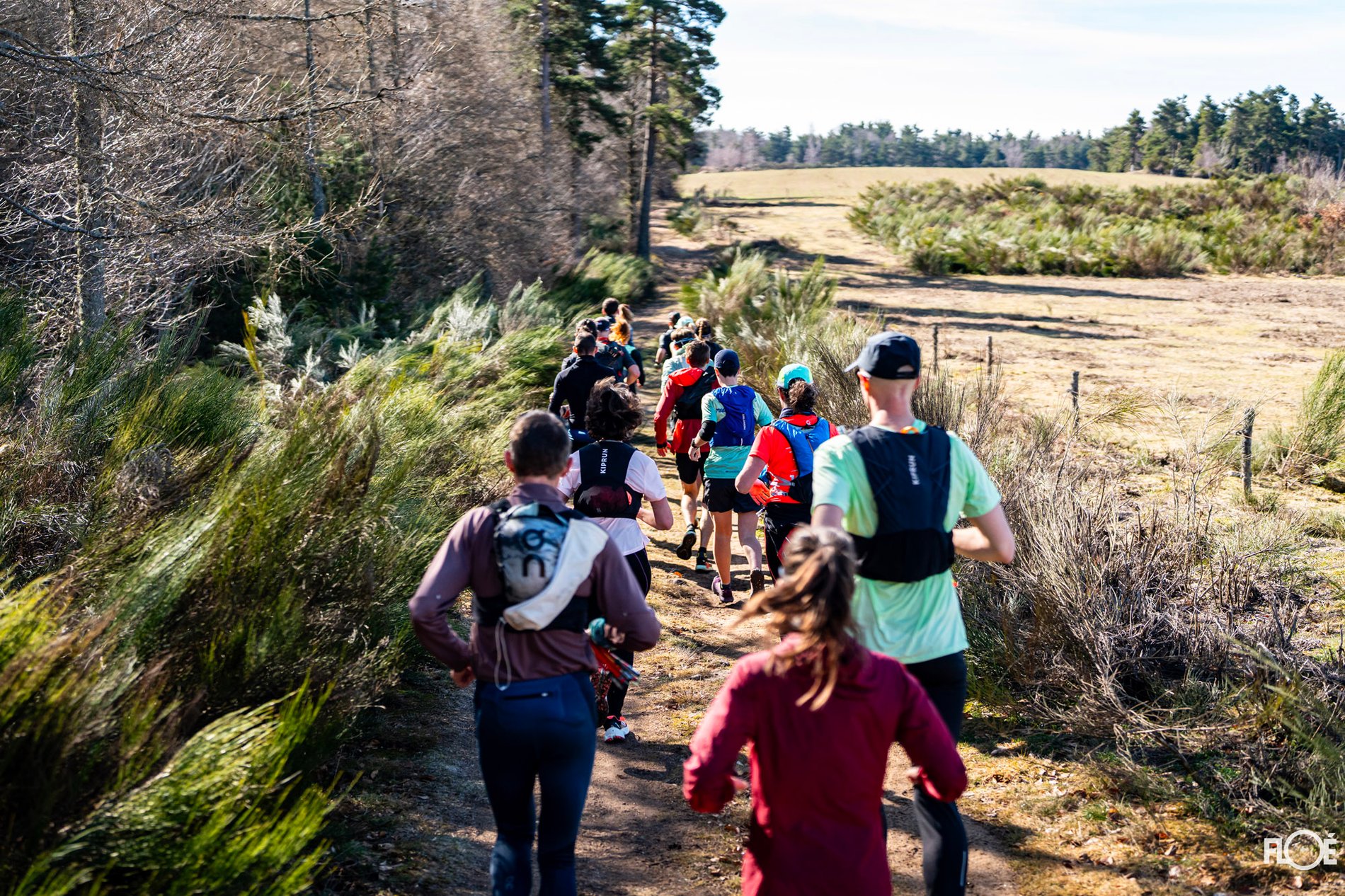 a2a4fa32-4d11-4eb9-b2ff-669821179db7