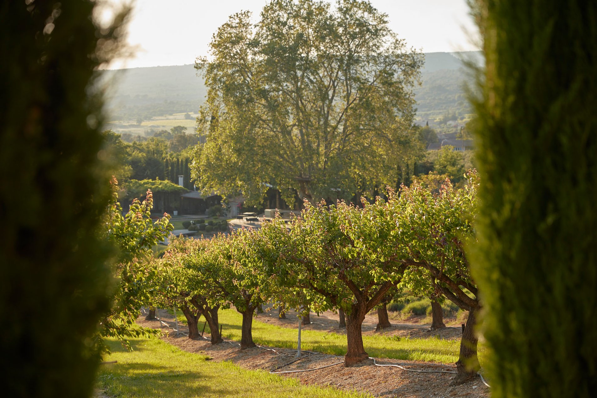 a5aa2e18-2fa5-41a2-ac51-02733047ac31