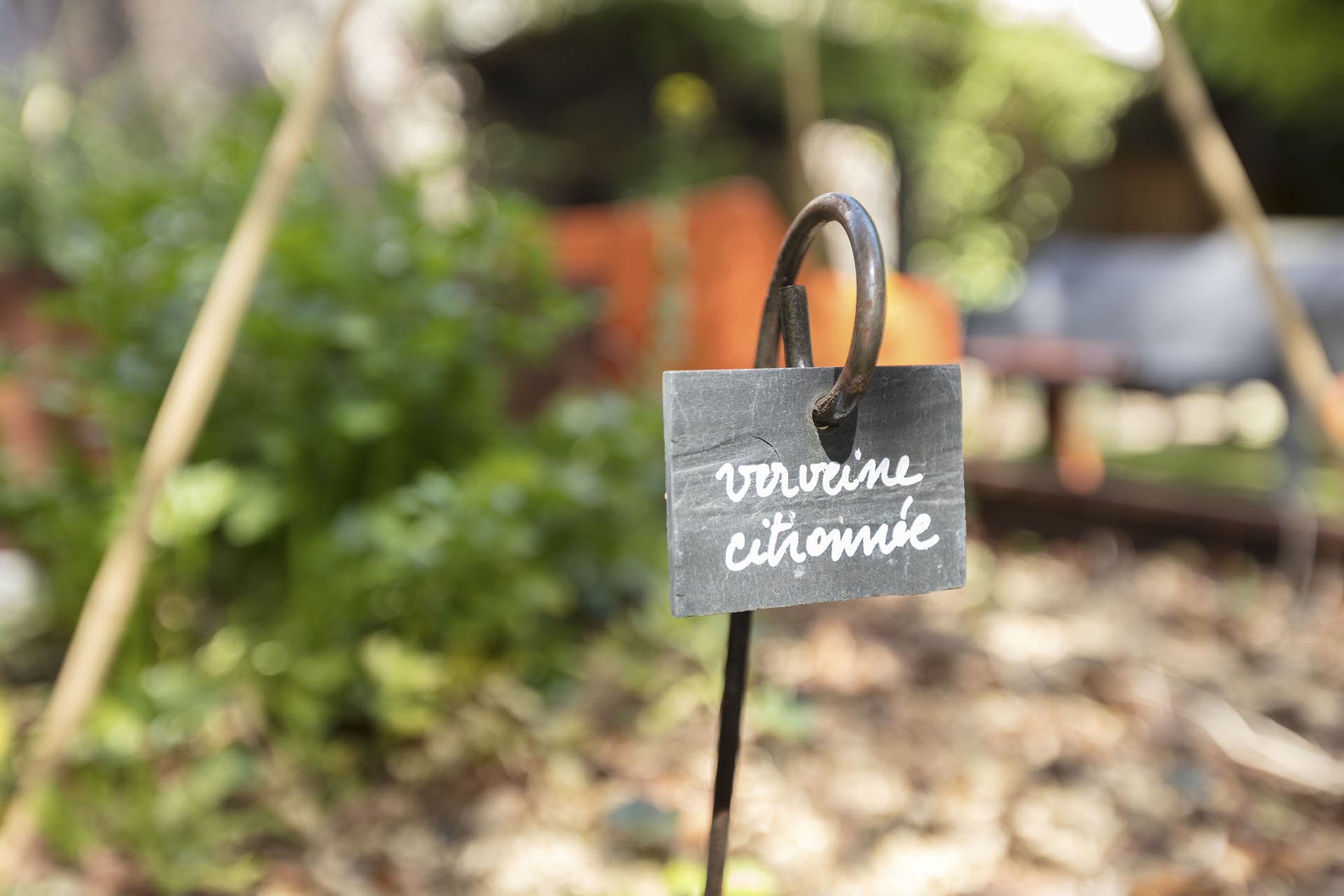 a6124057-7022-4062-80ad-c2b098e4f181