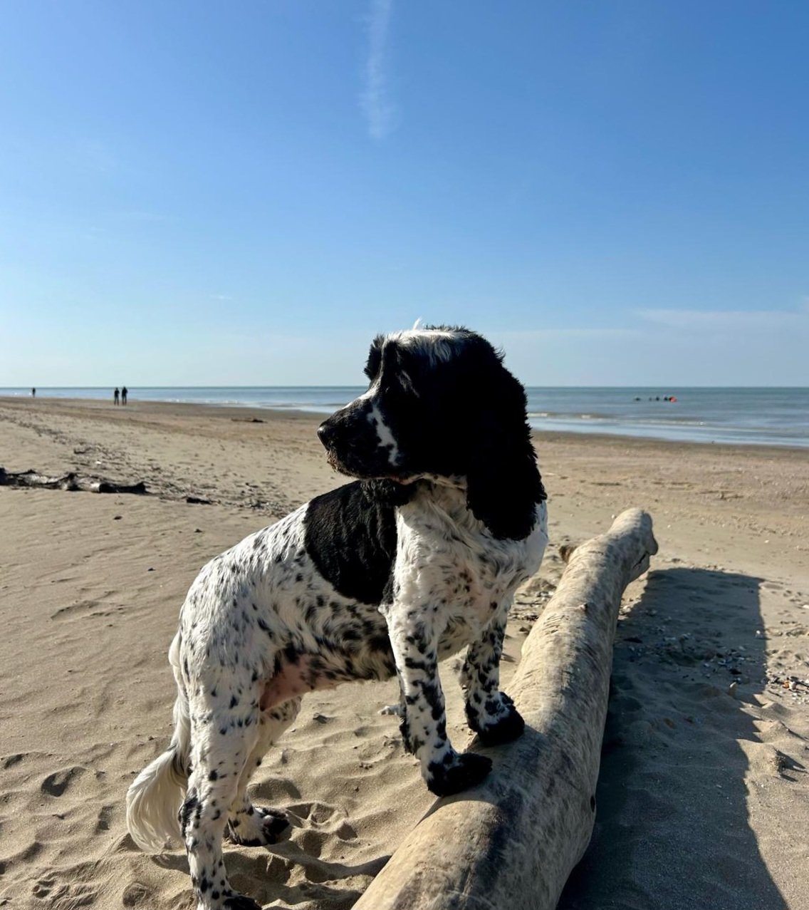 a787b160-5c2a-4007-a0ed-c32b40870bcc