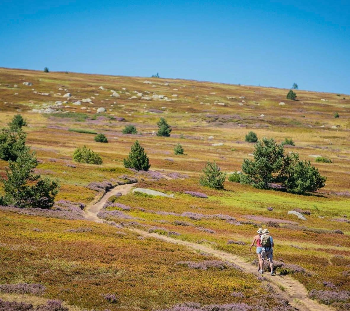 a8fd42d2-e68b-4905-b767-c88eda5df507