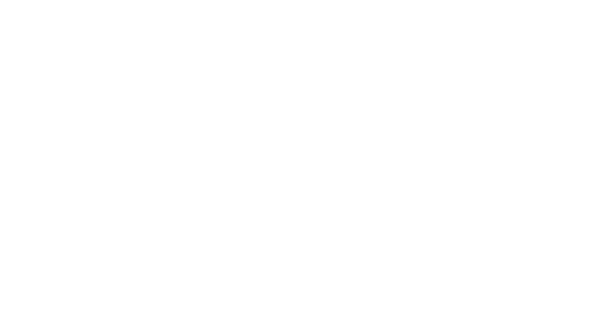 Hôtel Alpha