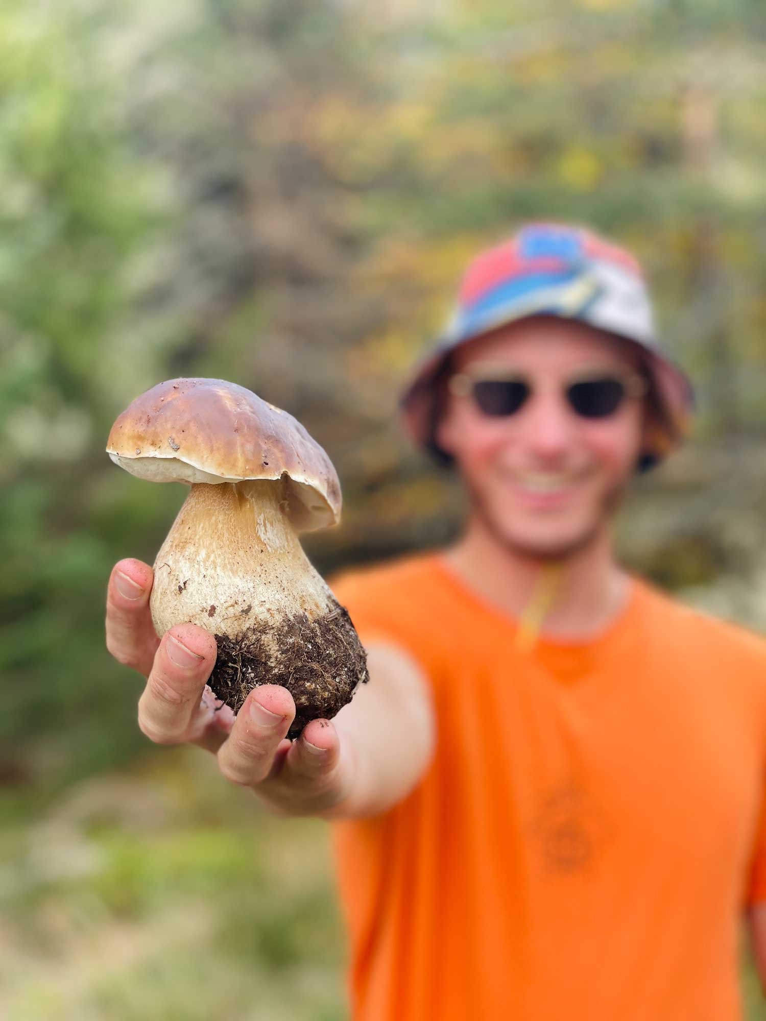 ab81fa73-f0c3-442e-b0fe-b4da53c15057