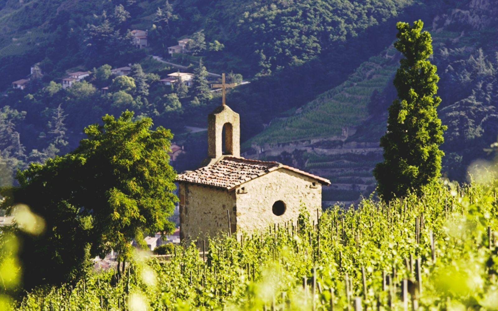 Hôtel de la Villeon | Rhône vineyard hotel