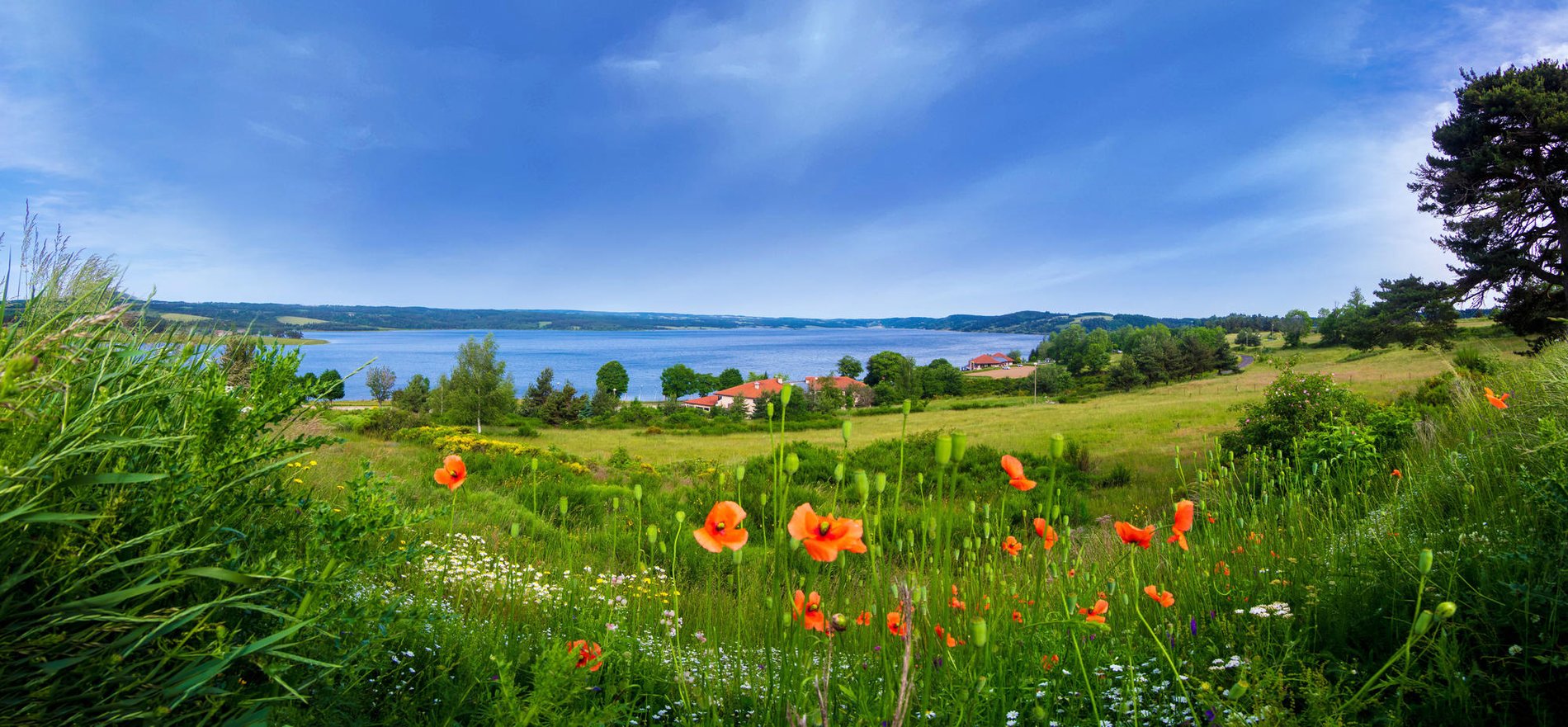 aec87742-2d97-44be-9b5e-deeacc008870