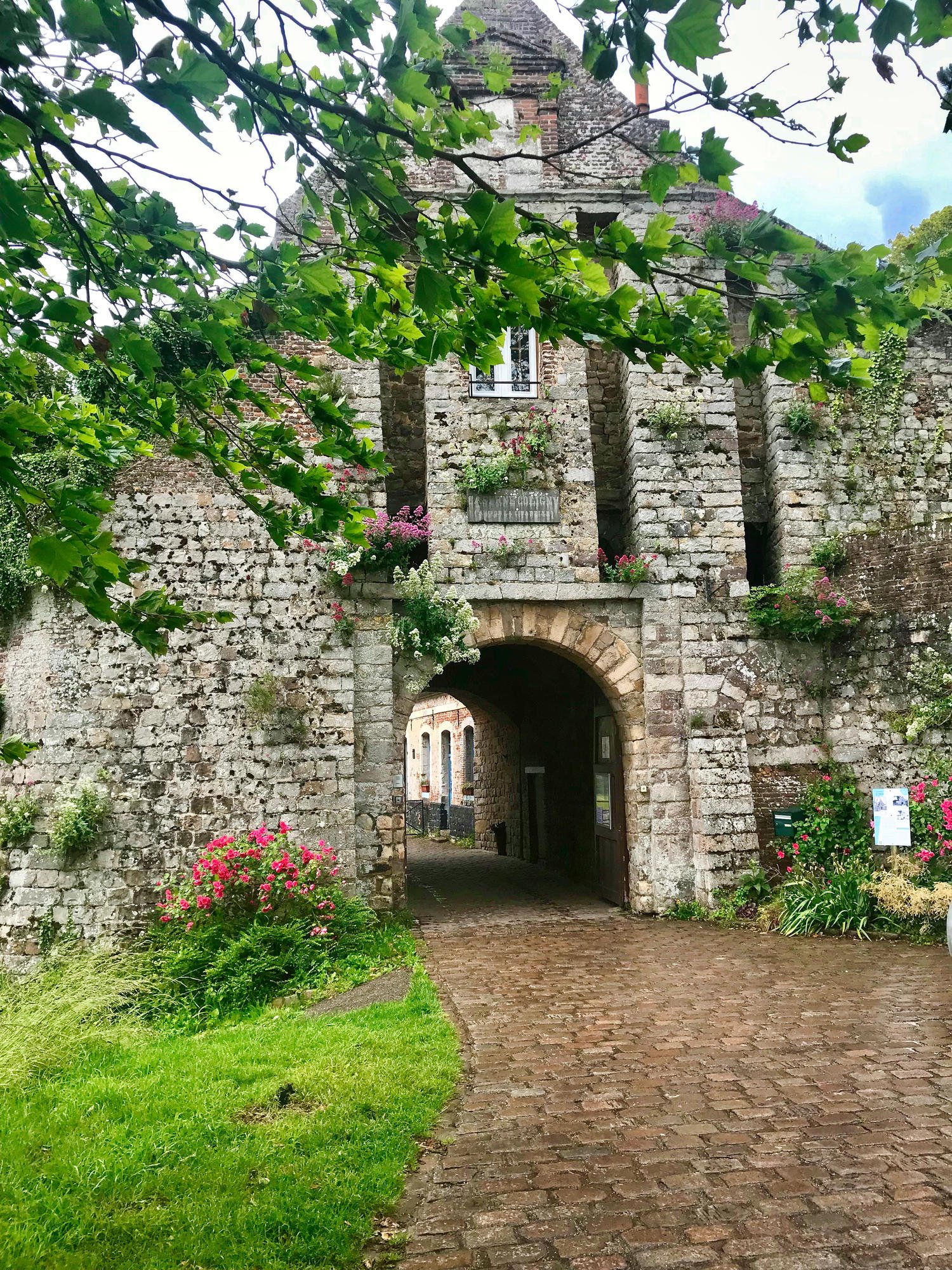 b39f70d5-5860-460e-8756-fb6b9b20337c