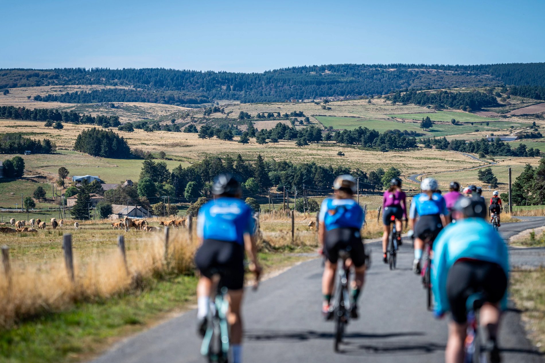 b3f8fc1e-d830-41ec-846a-0d05586454ca