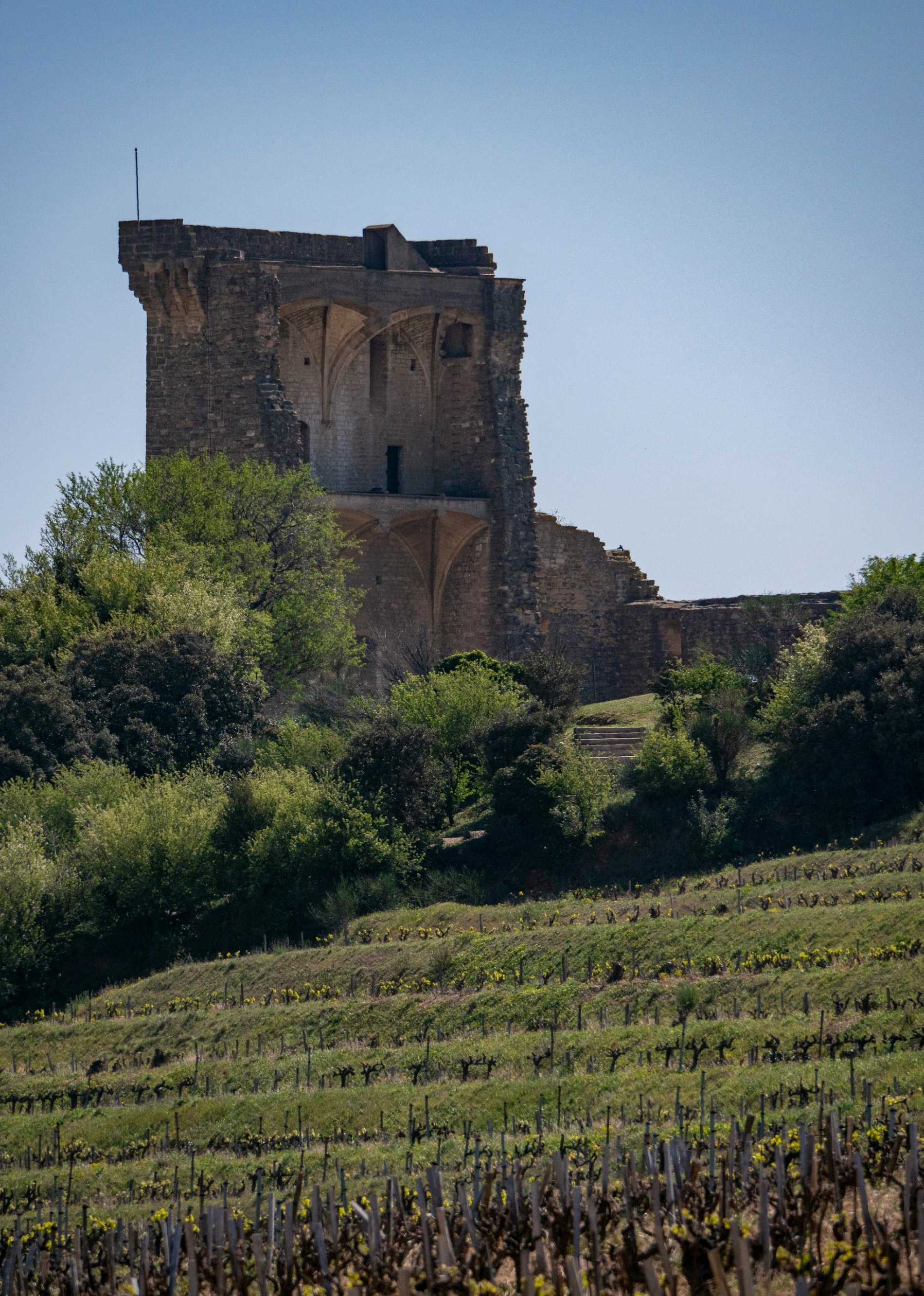 Château de Massillan | Hotel Châteauneuf du Pape