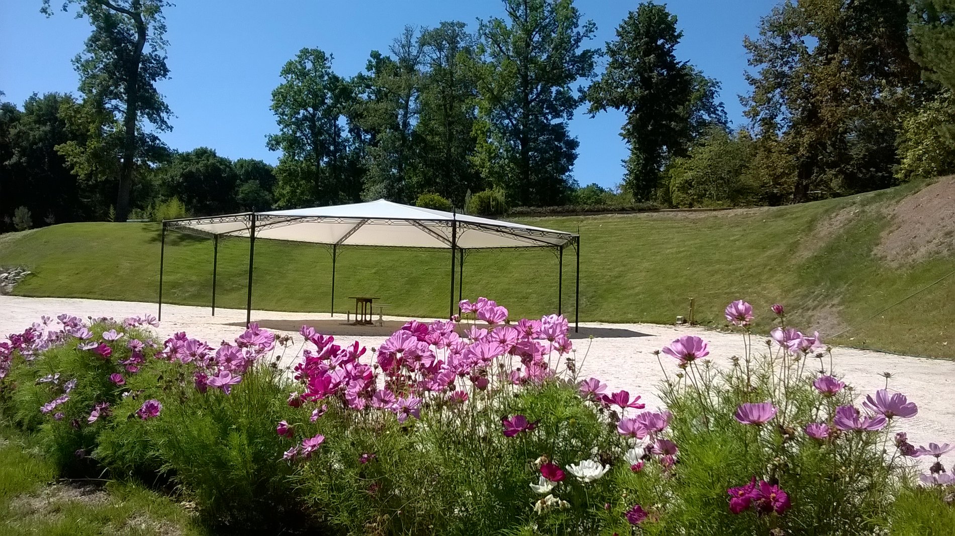 b8c50e76-09e8-44ff-9f1c-0c855d8de3a4