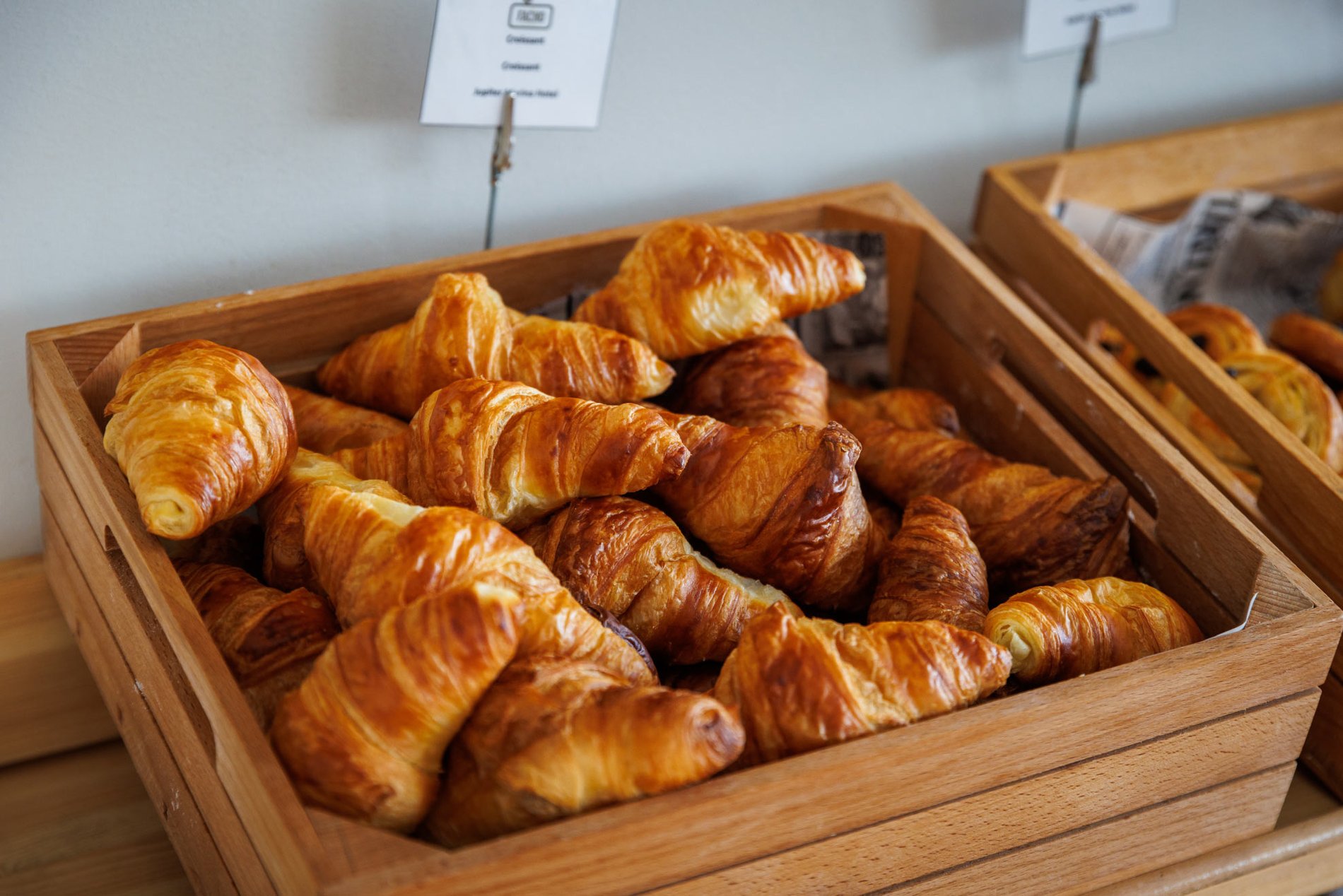 bd89729c-b2d7-4bce-8a76-f7cabb8ff3b4