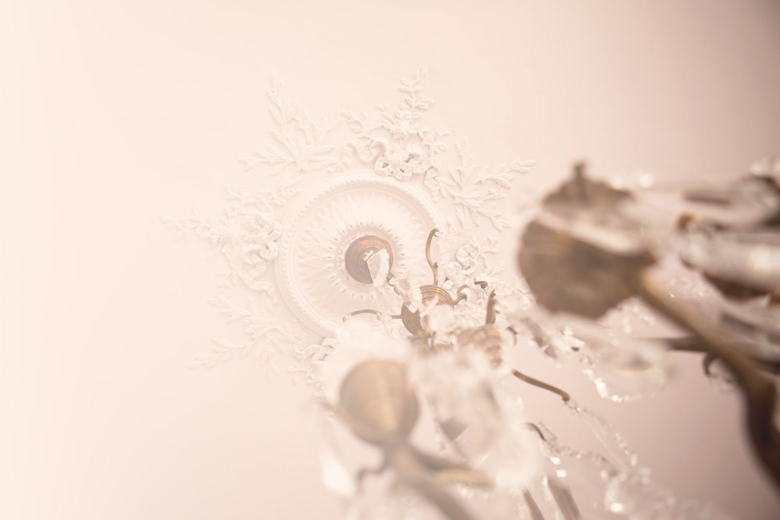 bf50f8ed-cf34-471d-8f94-528b10a4fc71