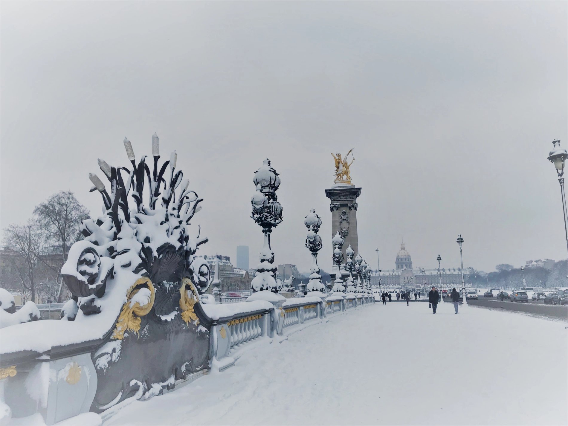 bfde19aa-53fd-4cfc-9da9-68a622a2f18b