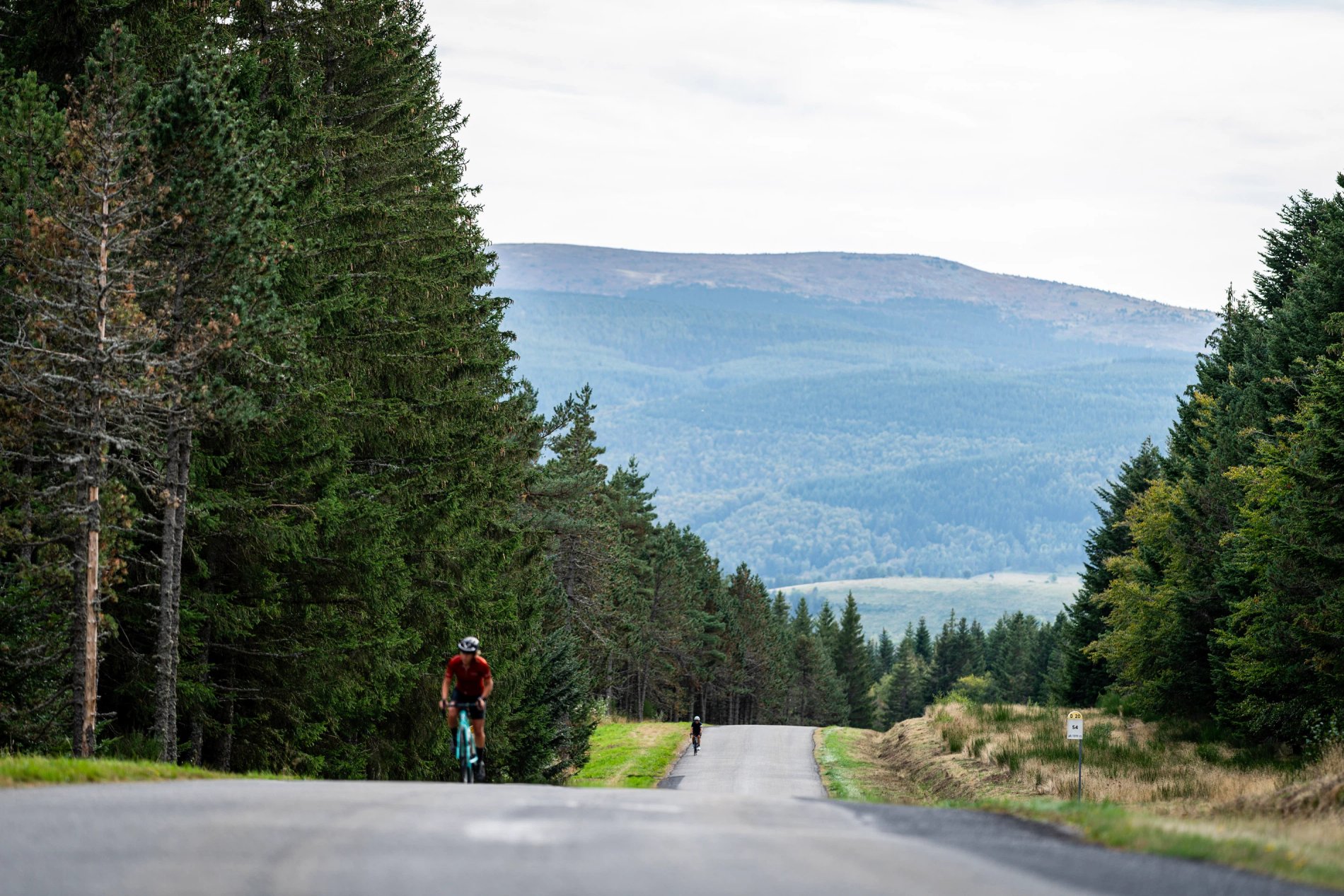 c4a44f59-db5f-4259-978e-4543d26edcba