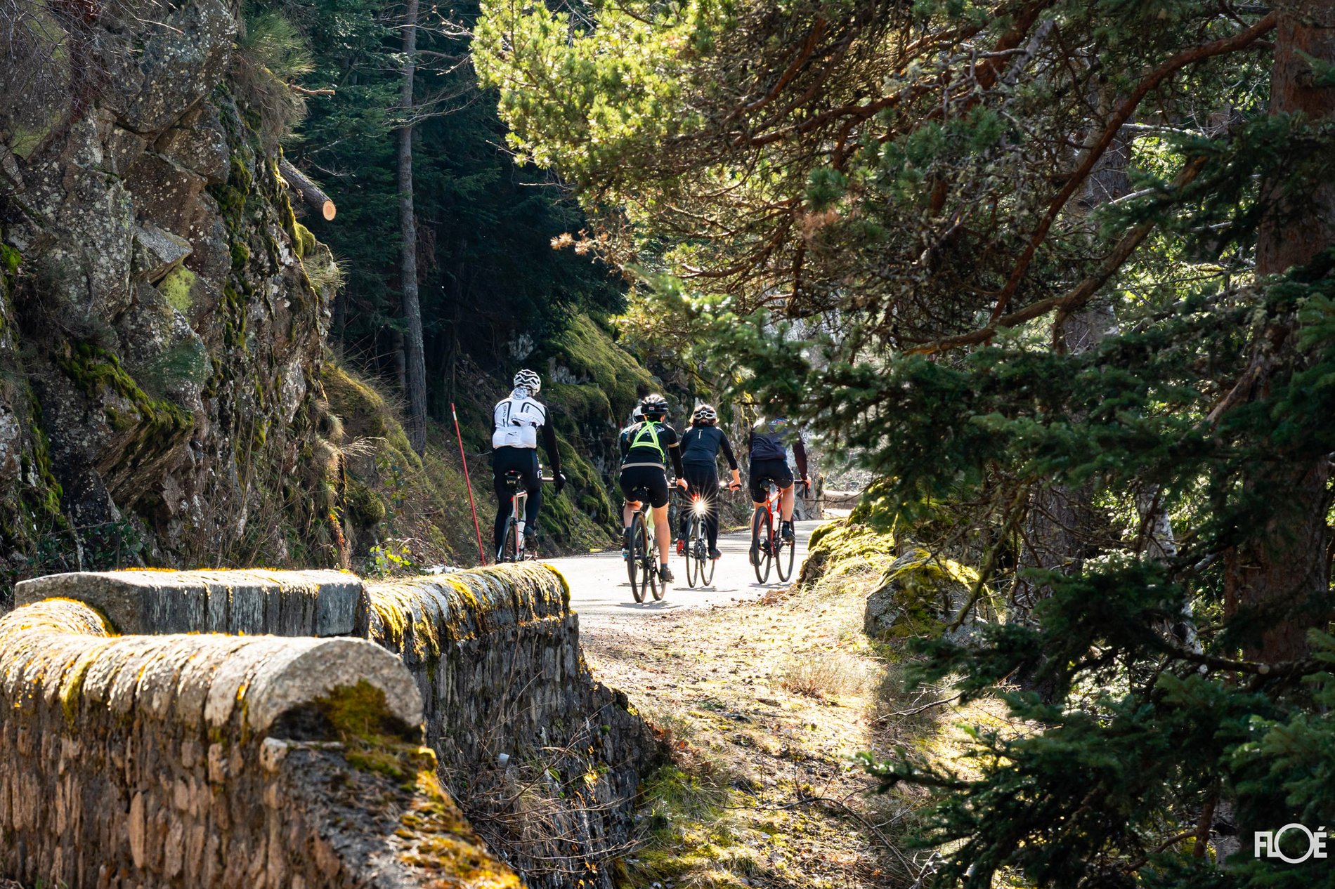 c5c5d71e-1925-4f3b-9de4-16d50632cab8