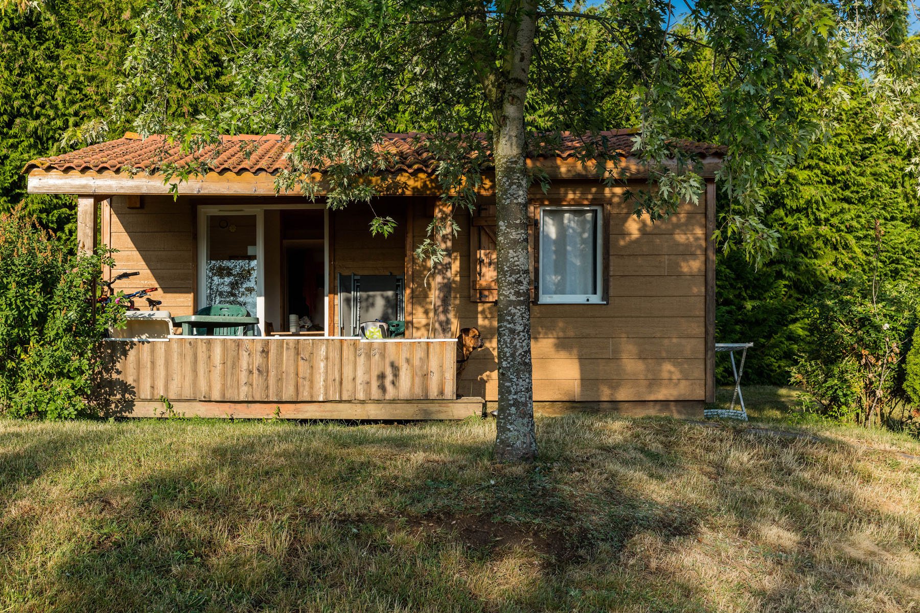 cd79553e-a8f7-44de-be13-a76f8cee564e