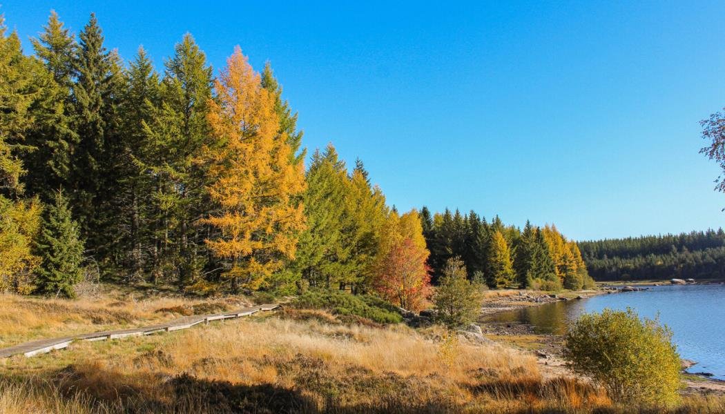 d0e75f4c-0b6d-414e-acbc-f25f5d4ba0c6