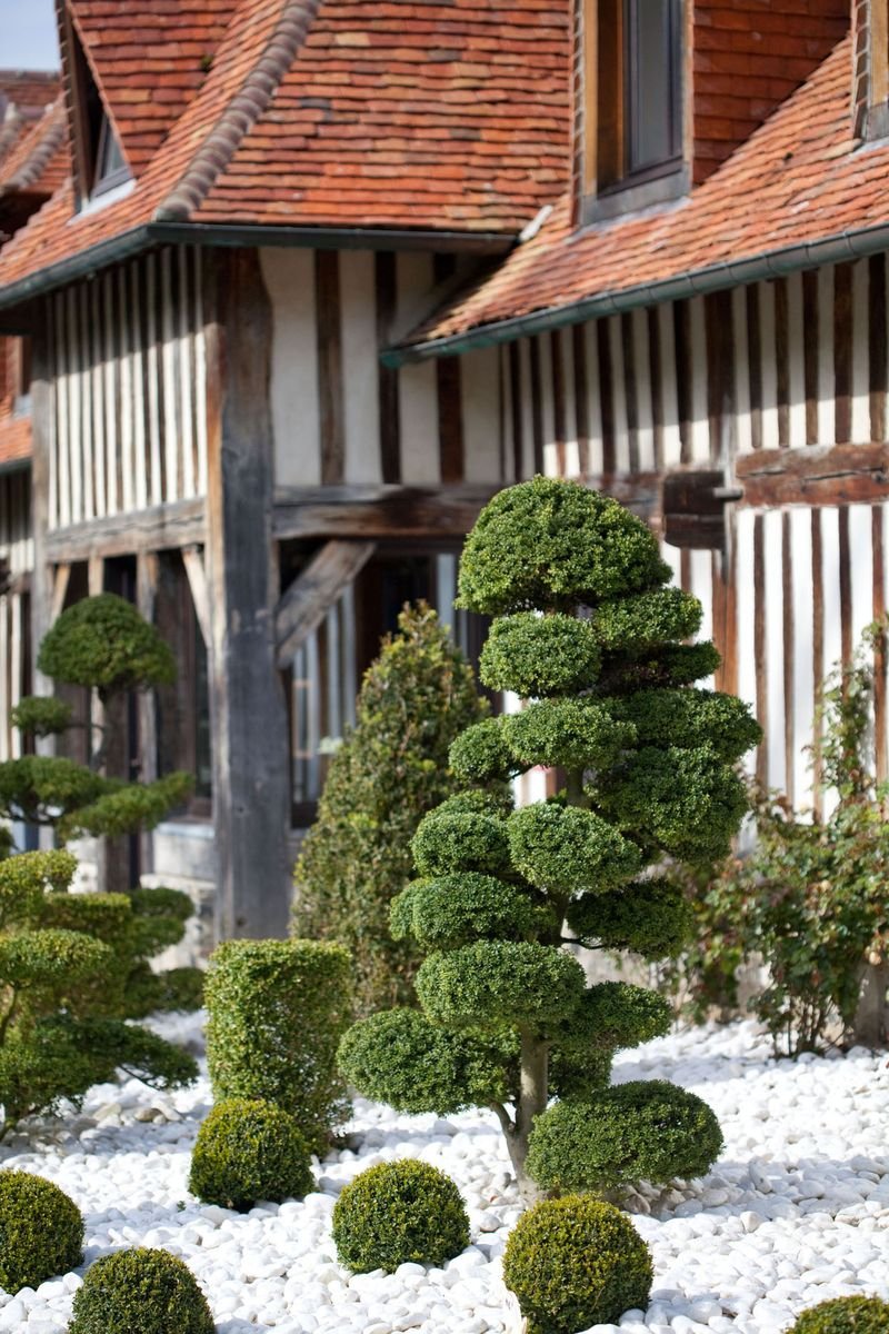 d25b0714-85f6-4a6c-9e45-4220a69064aa