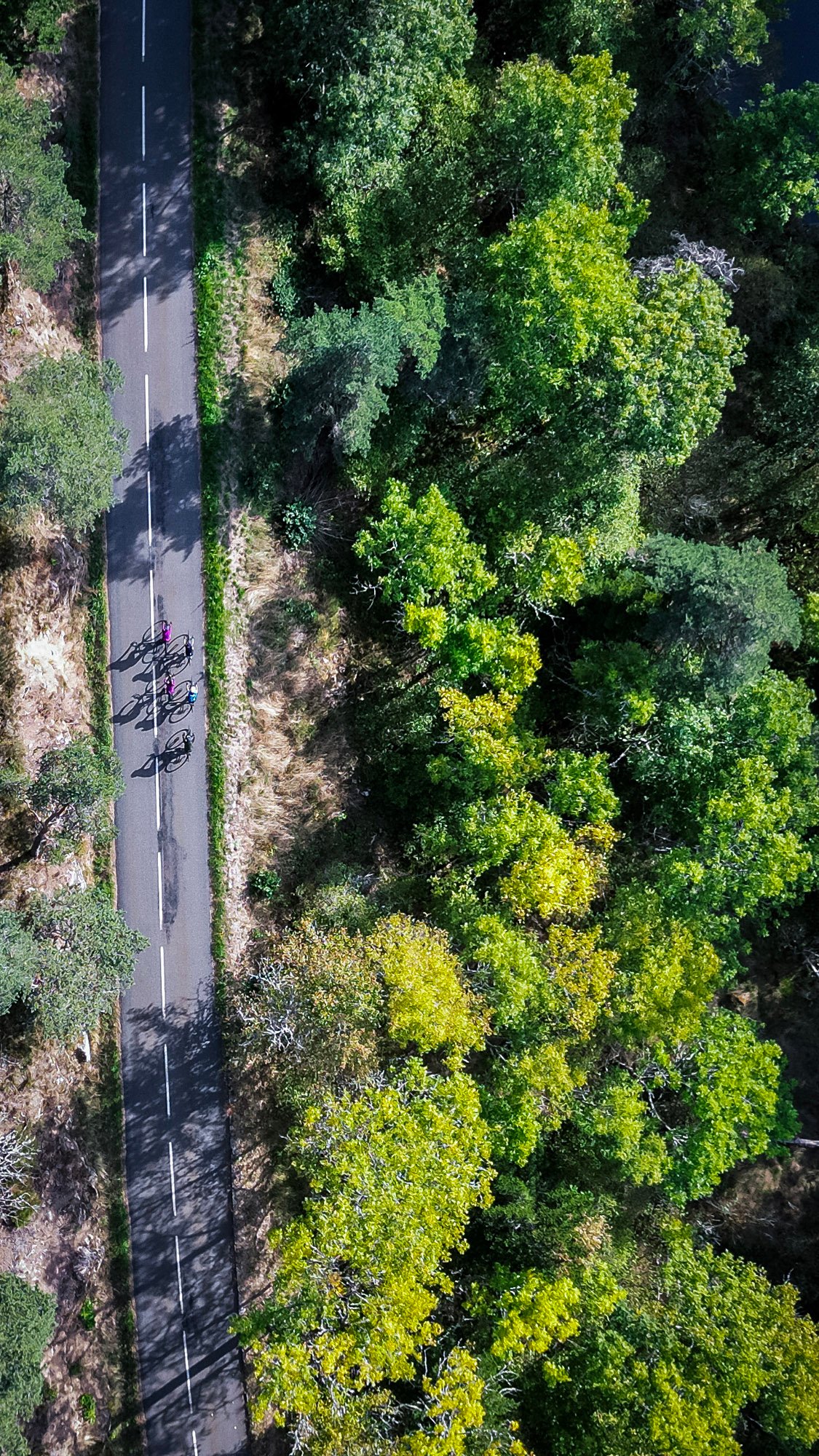 d38a85d1-1eee-478a-b9a4-6b64507b1a89