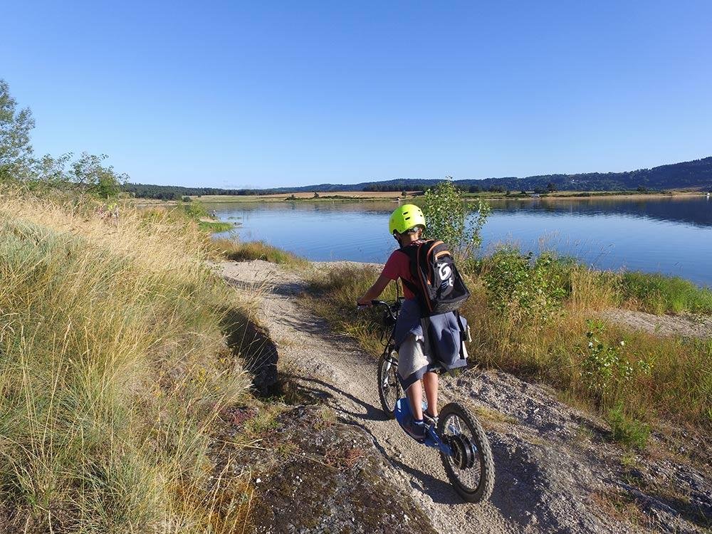 d50c7da5-c471-4ecb-9ddf-0826a64dd49e