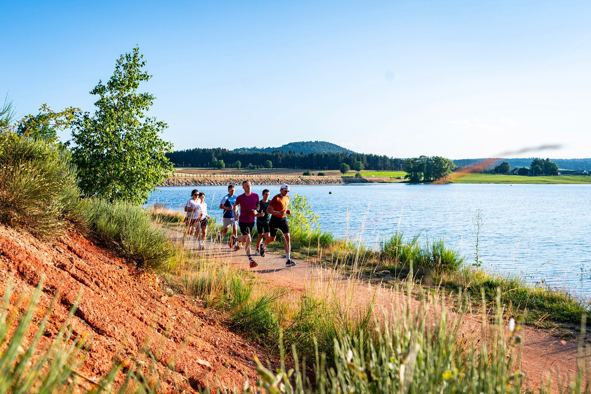 d570a6d4-c239-4fe1-8cbb-73d3f2439c31