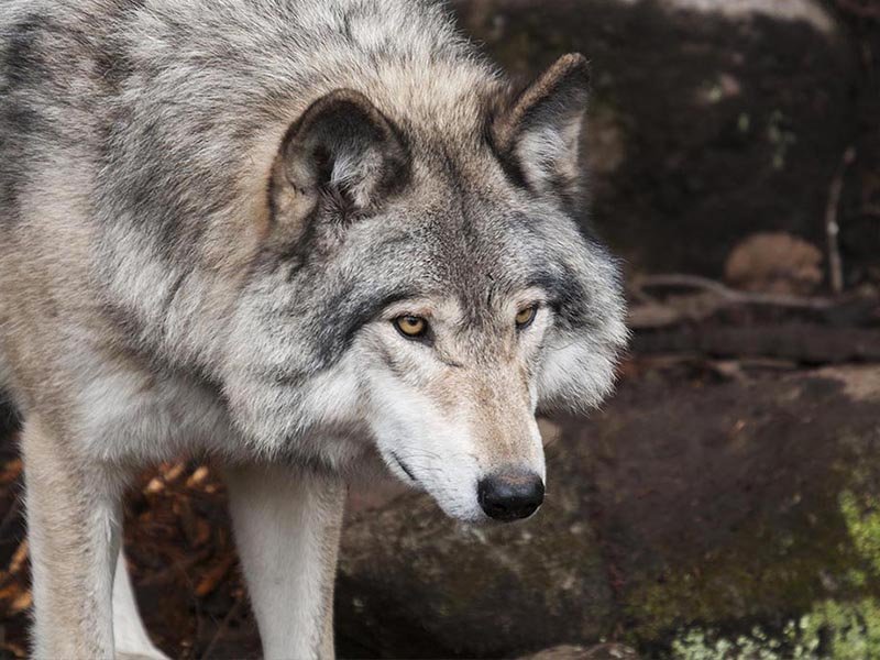 d67fec10-2cd4-4518-afca-ba234593a14b